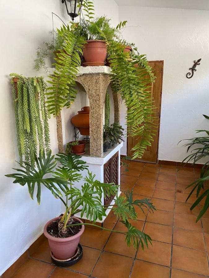 Casa En Mogan Villa Las Burrillas Exterior photo